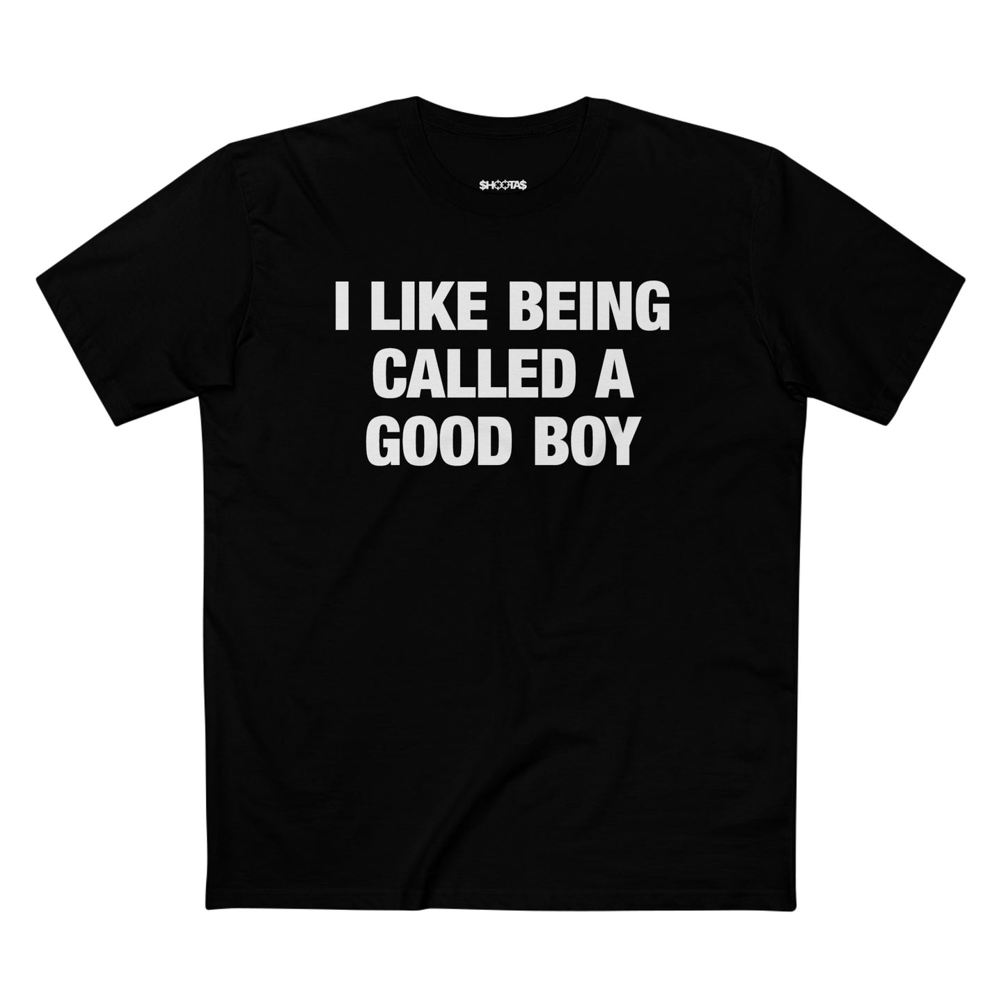 I Like Being Called A Good Boy T-Shirt