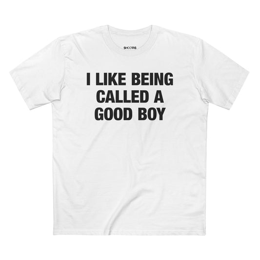 I Like Being Called A Good Boy T-Shirt